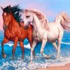 Horses On Beach Paint by numbers