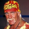 WWE Hulk Hogan Paint by numbers
