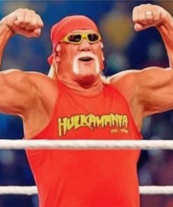 Hulk Hogan Paint by numbers