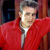 James Dean Paint by numbers