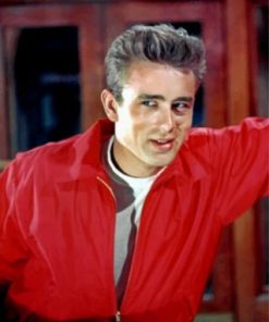 James Dean Paint by numbers