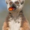 Lemur Eating Paint by numbers