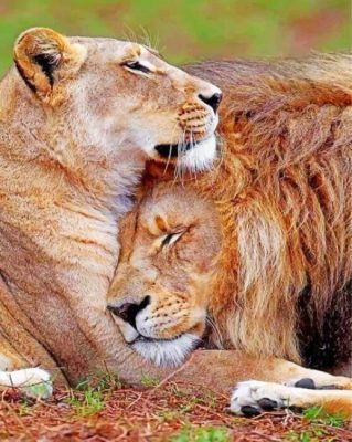 Lion And Lioness Love Paint by numbers