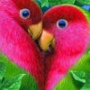 Love Birds Paint by numbers
