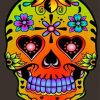 Orange Candy Skull Paint by numbers
