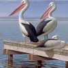 Pelican Birds Paint by numbers