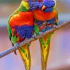 Rainbow Lorikeet Birds Paint by numbers