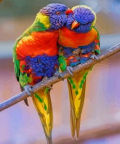 Rainbow Lorikeet Birds Paint by numbers