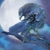 Raven And The Moon Paint by numbers