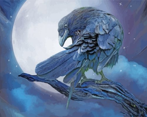 Raven And The Moon Paint by numbers