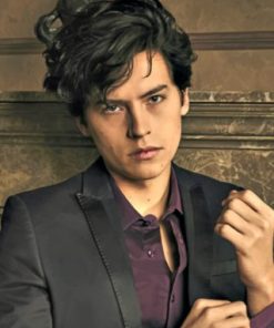 Riverdale Cole Sprouse Paint by numbers