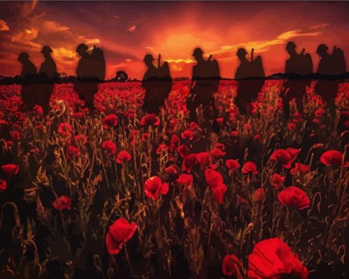 Soldiers Poppy Field Paint by numbers