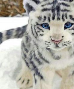 White Baby Tiger Paint by numbers