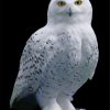 White Owl Paint by numbers