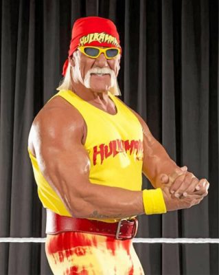 Wrestler Hulk Hogan Paint by numbers