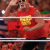 WWE Hulk Hogan Paint by numbers
