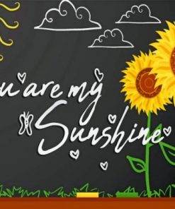 You Are My Sunshine Paint by numbers