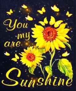 You Are My Sunshine Paint by numbers