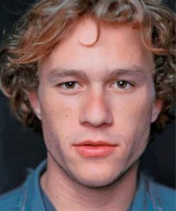 Young Heath Ledger paint by numbers