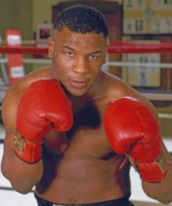 Mike Tyson Paint by numbers