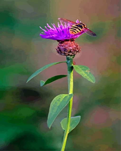 Bee On Scottish Thistle paint by numbers