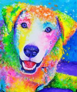 Colorful Labrador Dog paint by numbers