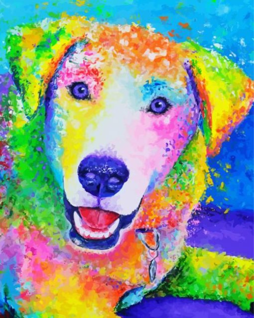 Colorful Labrador Dog paint by numbers