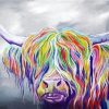 Colorful Highland Cow paint by numbers