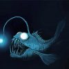 Anglerfish paint by numbers