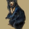 Sloth Bear Art paint by numbe