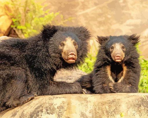 Sloth Bears paint by numbe
