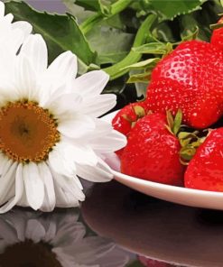 Strawberry Fruit And Daisies paint by numbe