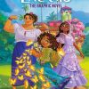Disney Encanto The Graphic Novel paint by number