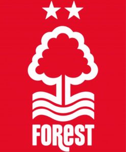 Nottingham Forest Paint By Numbers