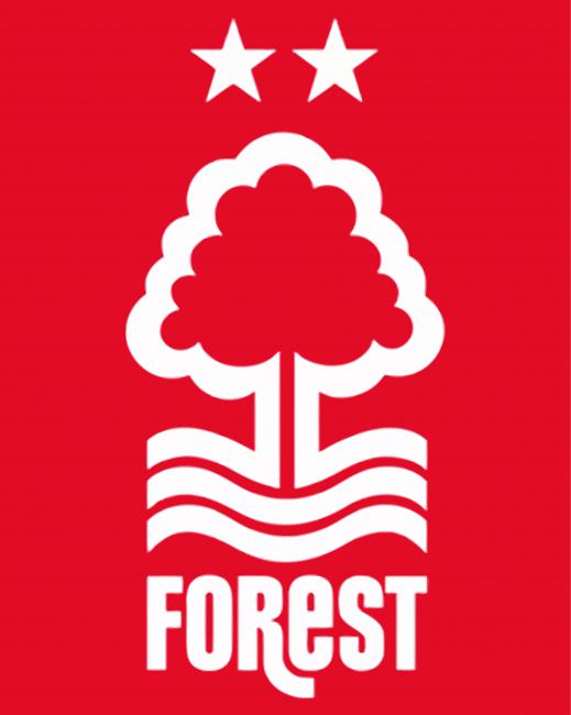Nottingham Forest Paint By Numbers