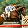 Horse Jumping paint by numbers