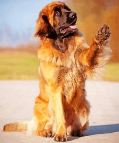 Leonberger Dog Animal paint by numbers