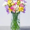Freesias In Vase paint by number