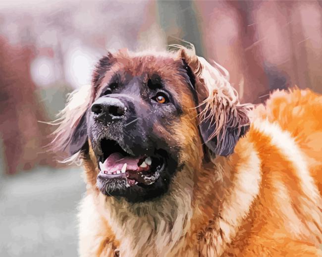 Leonberger Dog paint by numbers