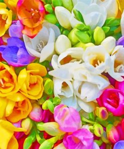 Colorful Freesias paint by number