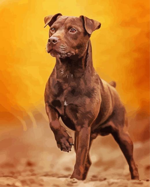 Patterdale Terrier Dog paint by numbers