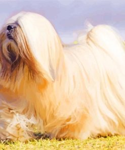 Aesthetic Lhasa Apso Dog paint by numbers