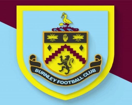 Burnley Football Club Paint by numbers