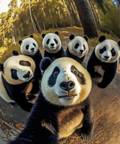 Pandas Selfie Paint by numbers