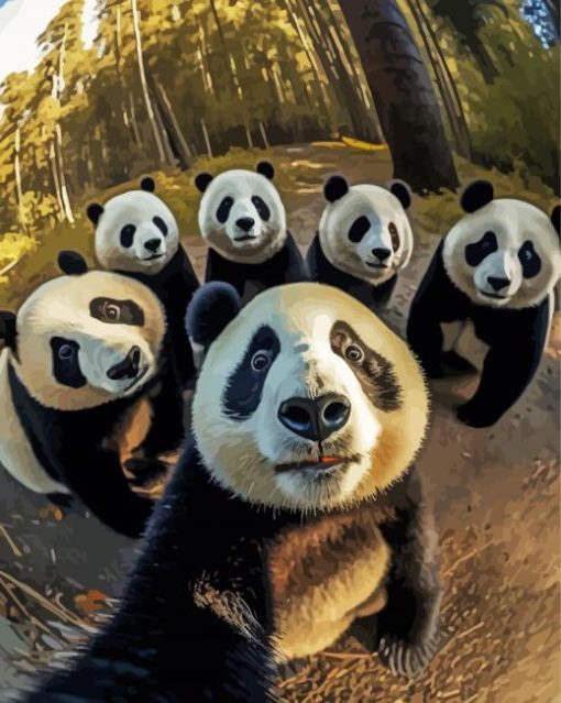 Pandas Selfie Paint by numbers