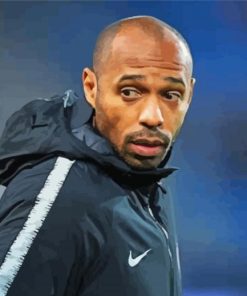 Thierry Henry Footballer Paint By Numbers