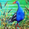 Pukeko Bird Paint By Numbers