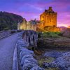 Road To Eilean Donan Paint By Numbers