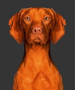 Cute Brown Vizsla Dog Paint By Numbers