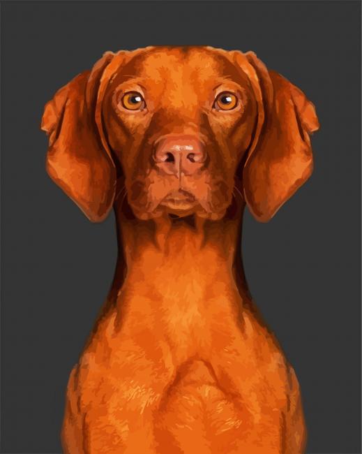 Cute Brown Vizsla Dog Paint By Numbers